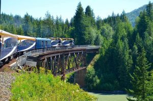 The Canadian tren yolcugu